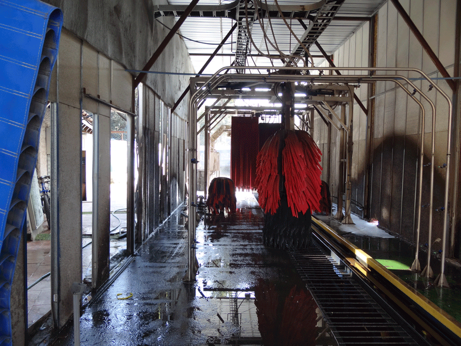 DSC00063.gif